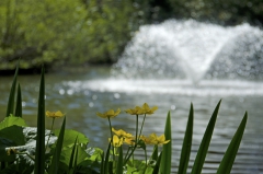 Audrey 11 - 16042014 Small