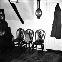 Tibby 1