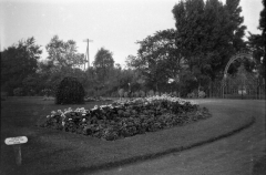 Formal Garden - 1 Small