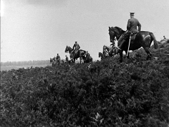 Horse Troop in Bracken Small